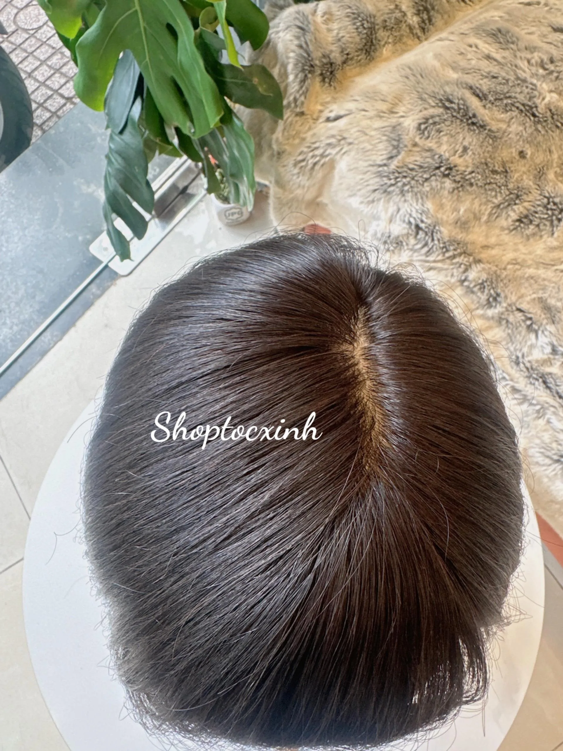 TOC BO SIEU DA TOAN PHAN TOC GIA LAM BANG TOC THAT 2