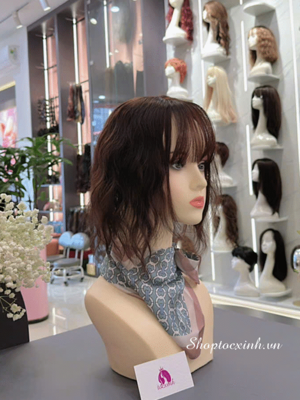 Review 7+ shop tóc giả trung niên quận 3 cho nữ tại Sài Gòn được nhiều chị em lựa chọn Review 7+ shop tóc giả trung niên quận 3 cho nữ tại Sài Gòn được nhiều chị em lựa chọn