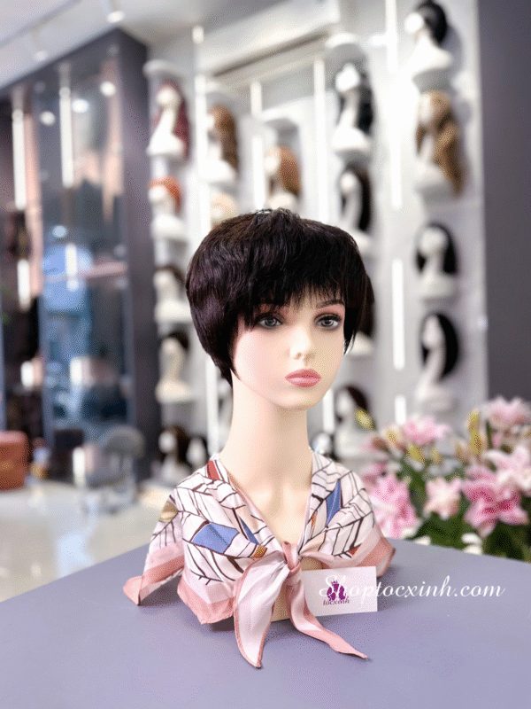 địa chỉ làm tóc giả hcm