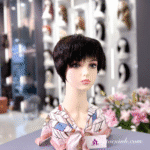 TÓC BỘ TÉM PHỒNG TRUNG NIÊN