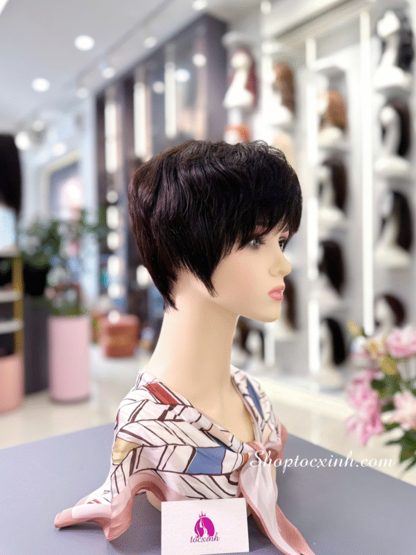 5+ địa chỉ bán tóc giả trung niên quận 11 mẫu mã đẹp, uy tín nên biết