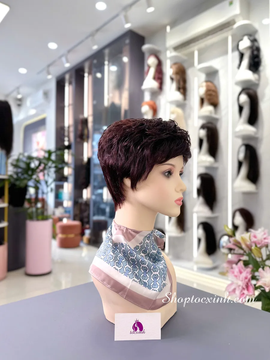 TÓC BỘ TÉM TRUNG NIÊN MỘT NGÔI LÀM BẰNG TÓC THẬT - Ảnh 5