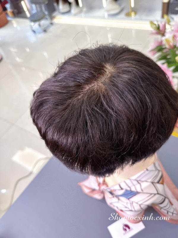 Cửa hàng tóc giả nữ giá sỉ uy tín tại TPHCM - Bí quyết làm đẹp rẻ, chất lượng Cửa hàng tóc giả nữ giá sỉ uy tín tại TPHCM - Bí quyết làm đẹp rẻ, chất lượng