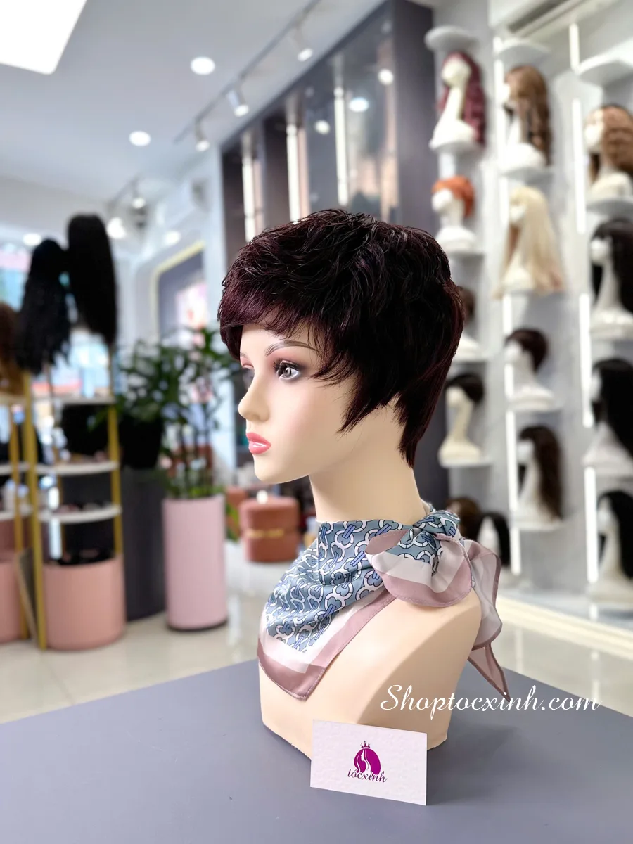 Cửa hàng tóc giả cho thử tại chỗ tại TP HCM