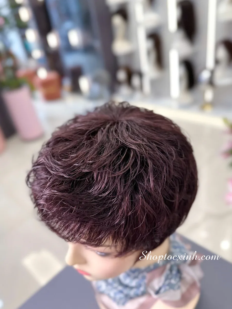 TÓC BỘ TÉM TRUNG NIÊN MỘT NGÔI LÀM BẰNG TÓC THẬT - Ảnh 2