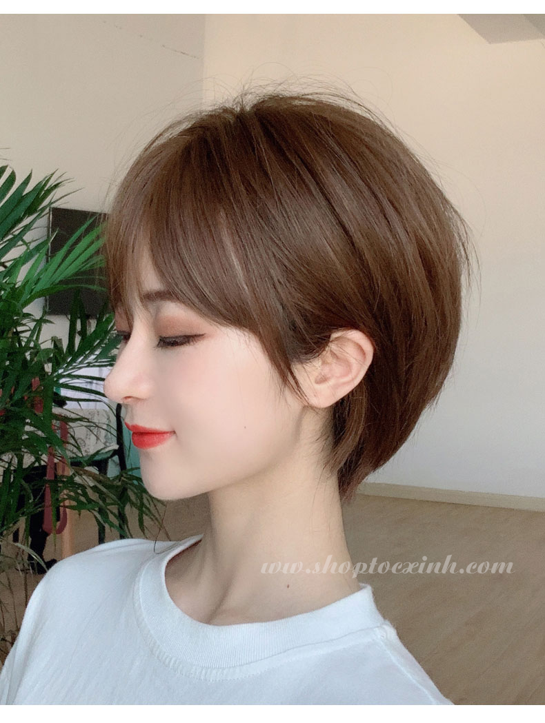 Địa chỉ mua tóc giả đường Đặng Văn Ngữ Quận Phú Nhuận – Gợi ý cho phái đẹp trung niên Tóc Pixie ngắn làm bằng tóc giả