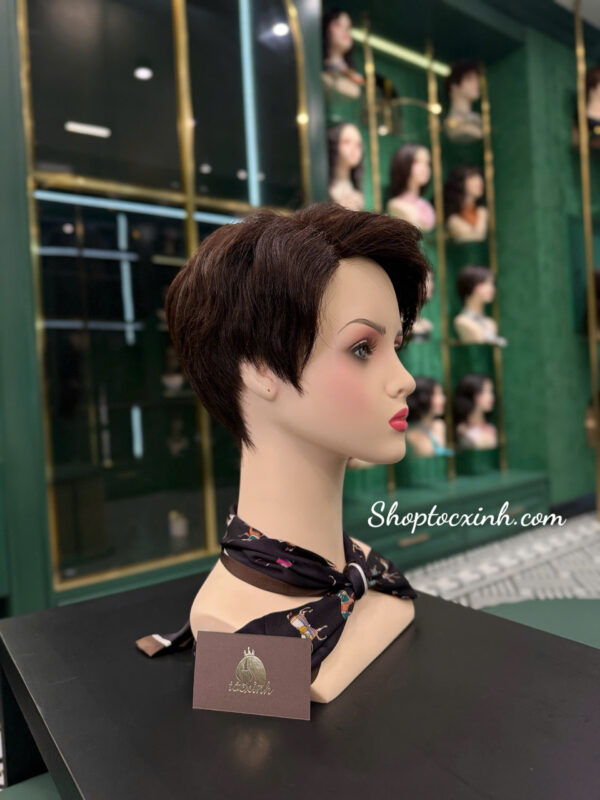 Gợi ý 10 nơi mua tóc giả giá rẻ, bền đẹp, chất lượng ở Sài Gòn địa chỉ mua tóc giả