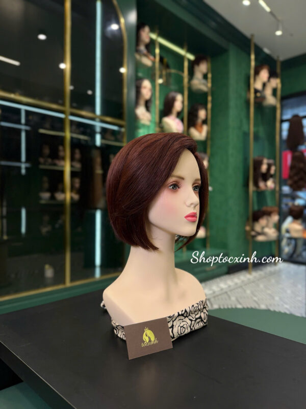 Top 10 địa chỉ mua tóc giả nữ trung niên tại TPHCM xịn, bền đẹp, giá hợp lý Shop Tóc Xinh Premium – Tóc giả cao cấp Quận 3