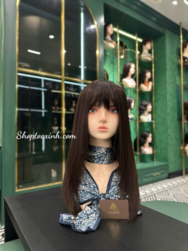 Top 10 địa chỉ mua tóc giả nữ trung niên tại TPHCM xịn, bền đẹp, giá hợp lý TÓC DÀI NGUYÊN ĐẦU THẲNG TÓC GIẢ LÀM BẰNG TÓC THẬT