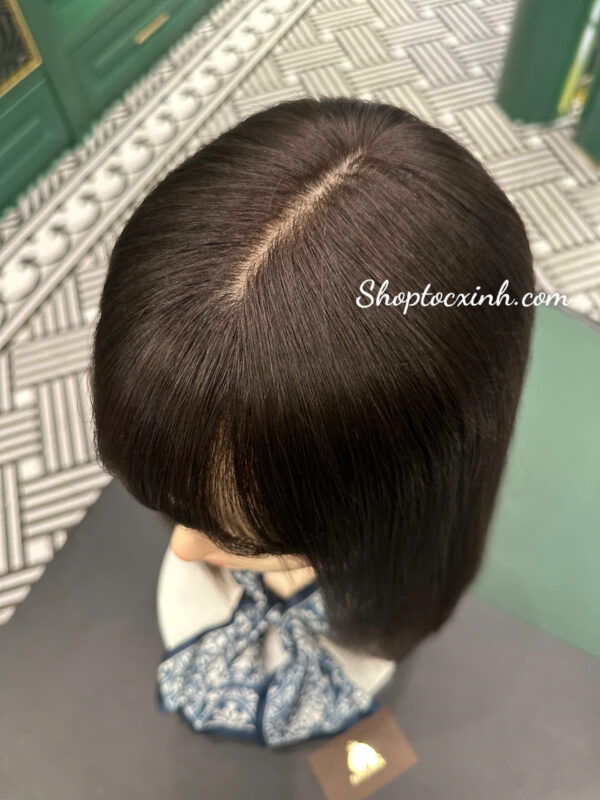 Mái Phủ Che Hói Đỉnh Đầu