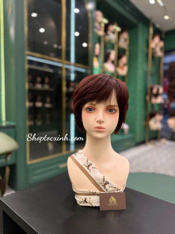 Top 8 kiểu tóc giả ngắn đẹp: Xu hướng năm 2025 z7221826828602 3c46b5468ccbfcd1968b31b6b212a9d4 1