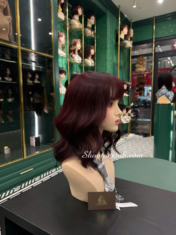 Cách Chăm Sóc Tóc Giả Làm Từ Tóc Thật Để Luôn Mềm Mượt Như Ngày Đầu Cách Chăm Sóc Tóc Giả Làm Từ Tóc Thật