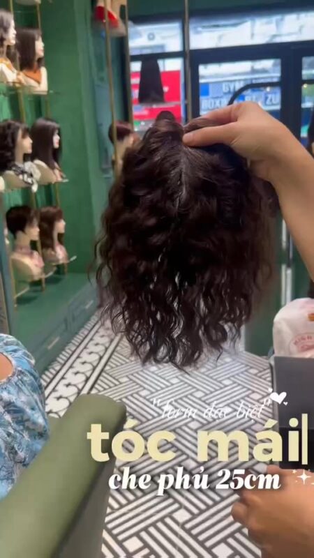 Cách Chăm Sóc Tóc Giả Làm Từ Tóc Thật Để Luôn Mềm Mượt Như Ngày Đầu Cách Chăm Sóc Tóc Giả Làm Từ Tóc Thật