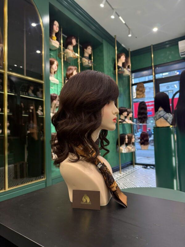 Vệ sinh tóc giả