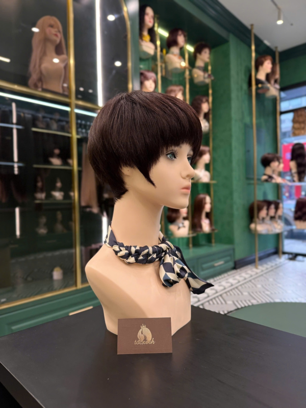 chăm sóc tóc giả