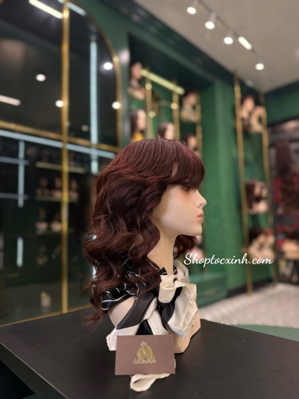 tóc giả bị xơ rối